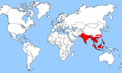 Map of Southern Asia and Singapore